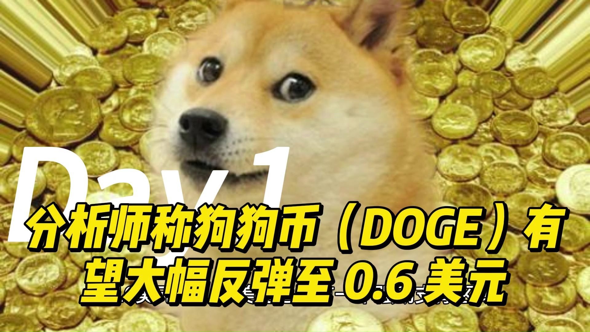 关于狗狗币遭遇大幅下滑超Polkadot%，投资者恐慌性抛售的信息-九游体育app