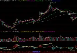 SHIB刷新年度新高，上涨幅高达13.79%，还是否还能入手？-九游体育