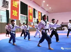 庐州金雕队对阵雪域雷霆队，跆拳道杯赛守住胜果，细节决定成败——逆风翻盘的范本的简单介绍-九游体育app