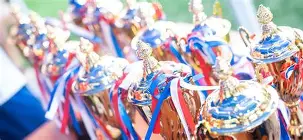 体操赛场再起风云：东城鲨队队惊险晋级徽州独角兽队，赛场气氛火爆球迷期待下一战-九游体育官网